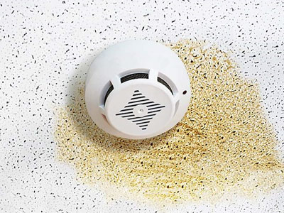 RSI-Roofing Services, Inc. Images